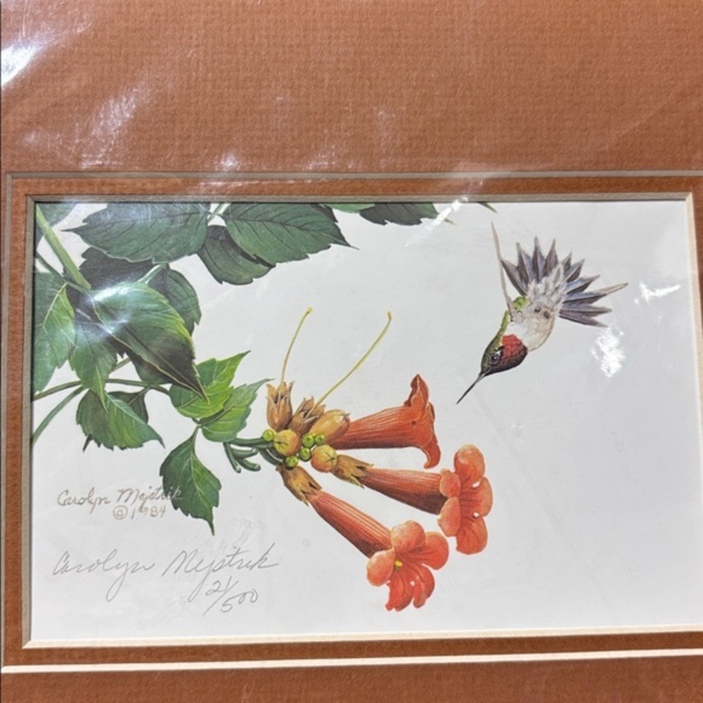 Hummingbird art original matte limited edition 21/500 Carolyn MYstrick 1984